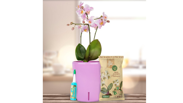 Dr.Soil, Pflegeset für Orchideen