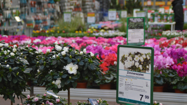 Um Pflanzen und Gartenprodukte einzukaufen, gehen die meisten Verbraucher nach wie vor ins Gartencenter. Die Tendenz ist laut Vuma allerdings abnehmend.