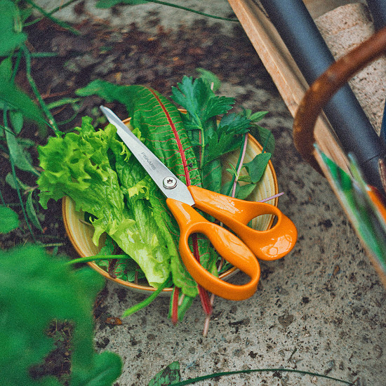 Fiskars Fiskars