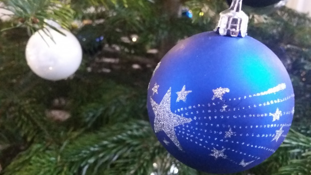 Weihnachten im Dähne Verlag: Mit diesem Foto vom "Firmenweihnachtsbaum" möchten wir uns in die Feiertagspause verabschieden.
