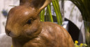 Frohe Ostern