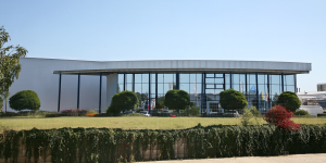 Gegen den Branchentrend