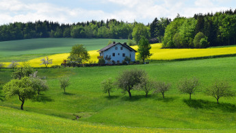 Preise für Wohnimmobilien steigen um 10,2 Prozent