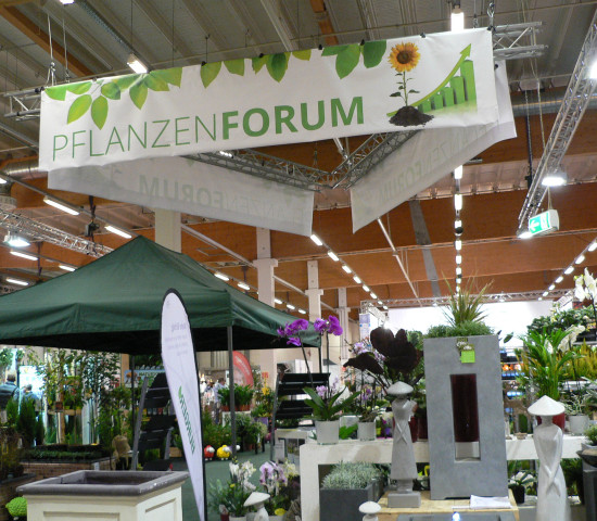 Pflanzenforum Pflanzenforum