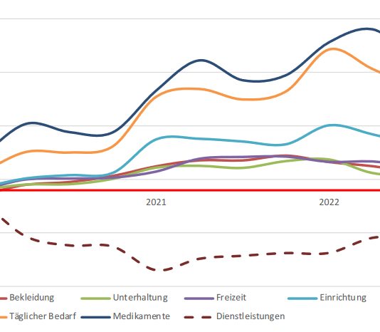 Online-Umsätze seit 2019 nach Warenkategorie.