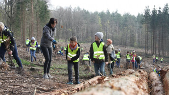 Bauhaus und Logoclic beginnen Baumpflanzaktion in Gera