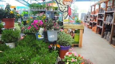 Verbraucherzentrale klagt gegen Hornbach