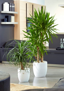 Soendgen, Übertöpfe, Hammerschlag-Optik