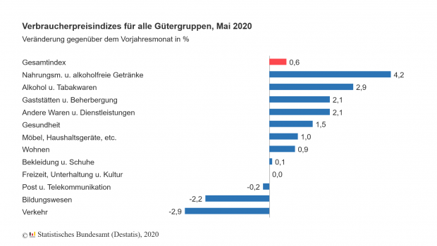 Die Inflationsrate von zwölf Gütergruppen im Mai. Quelle: Destatis