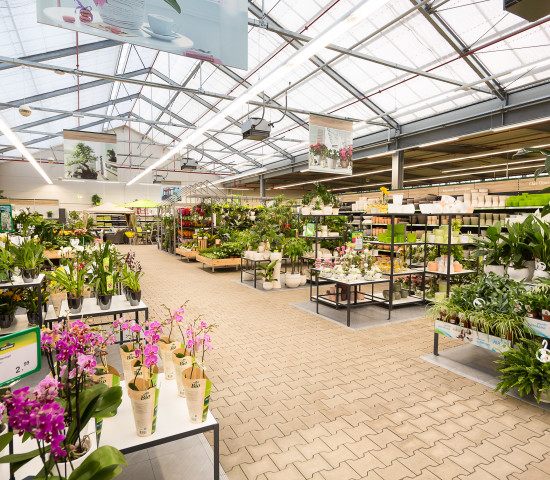 Dehner hat seinen ersten Standort in Erfurt im ehemaligen Maronde's Gartenparadies eingerichtet.
