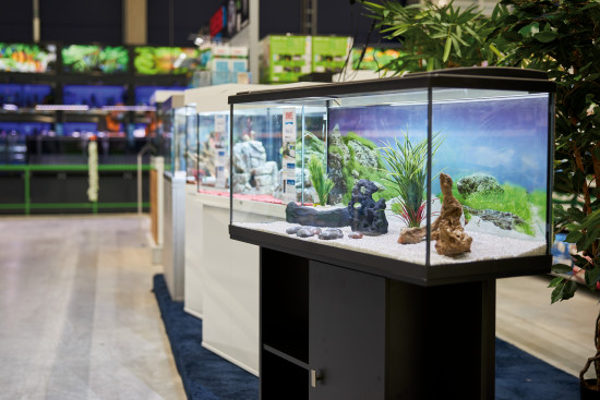 Neu im Paderborner Hornbach-Markt ist unter anderem eine große Aquarienabteilung. Neu im Paderborner Hornbach-Markt ist unter anderem eine große Aquarienabteilung.