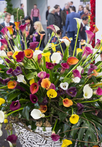 Die IPM ist die internationale Leitmesse für des Gartenbaus.
