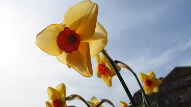 Frohe Ostern!
