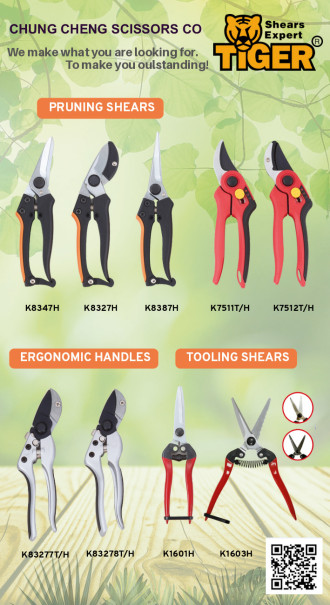 Ergänzendes Bildmaterial