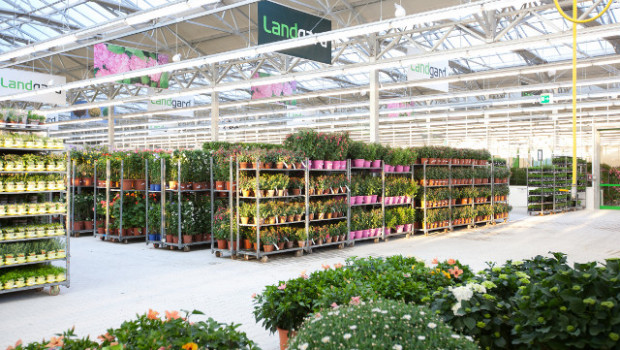 Die neue Landgard Fachhandel GmbH & Co. KG wird als hundertprozentige Tochter der Landgard Blumen & Pflanzen GmbH gegründet.