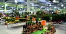 Hornbach schließt sein letztes Stand-alone-Gartencenter