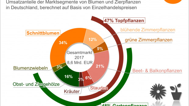 So setzt sich der Zierpflanzenmarkt zusammen. Quelle: ZVG/AMI
