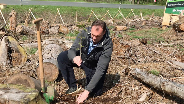 Die ersten Setzlinge der "Operation Borkenkäfer" von Bio Green sind gepflanzt.