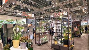 „Delphi" ist Messe-Highlight