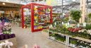Weitere Gartenwelt bei Knauber
