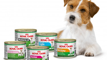 Feuchtnahrung speziell für kleine Hunde