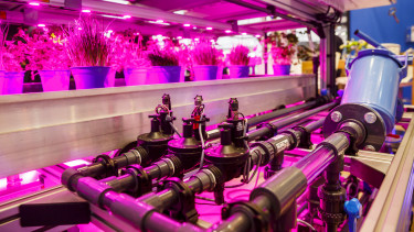 IPM Essen 2023 nimmt die Technik im Gartenbau in den Fokus
