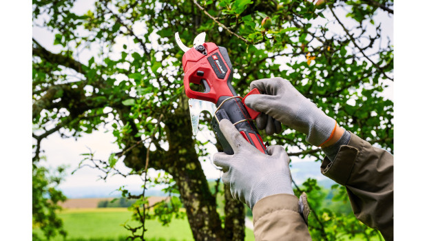 Einhell, Akku-Astschere