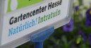 Der dritte deutsche